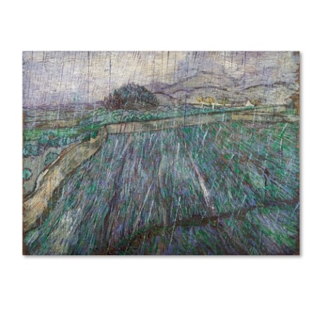 Van Gogh 'Rain' Canvas Art,14x19